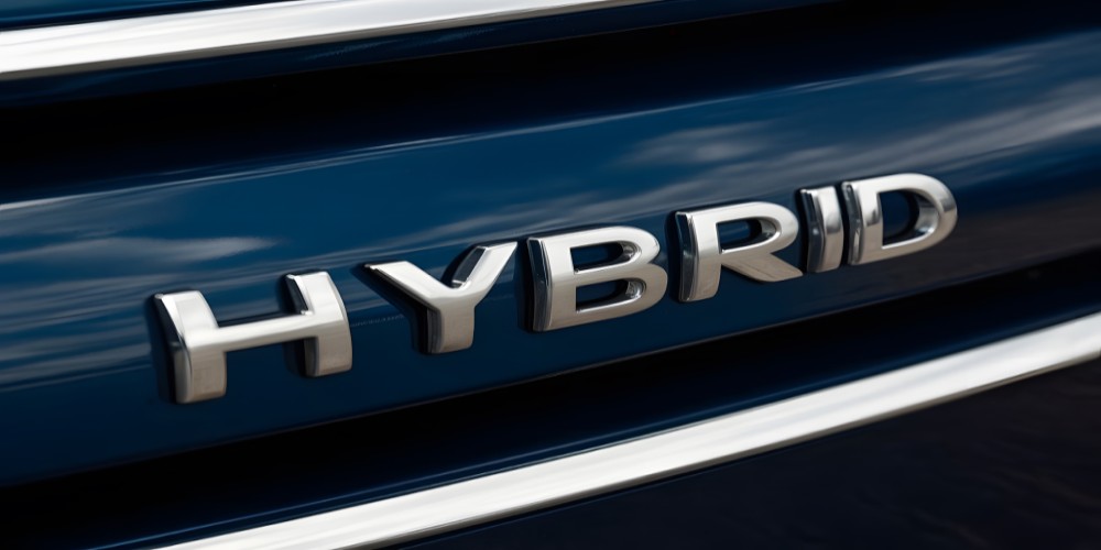 Hybrid Vans